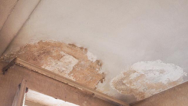 7 Poor Results of Ignoring Water Damage in Your Home